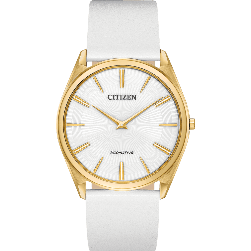ĐỒNG HỒ CITIZEN AR3072-09A
