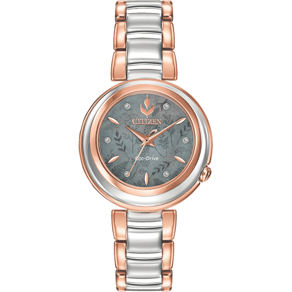 ĐỒNG HỒ CITIZEN EM0586-51Y