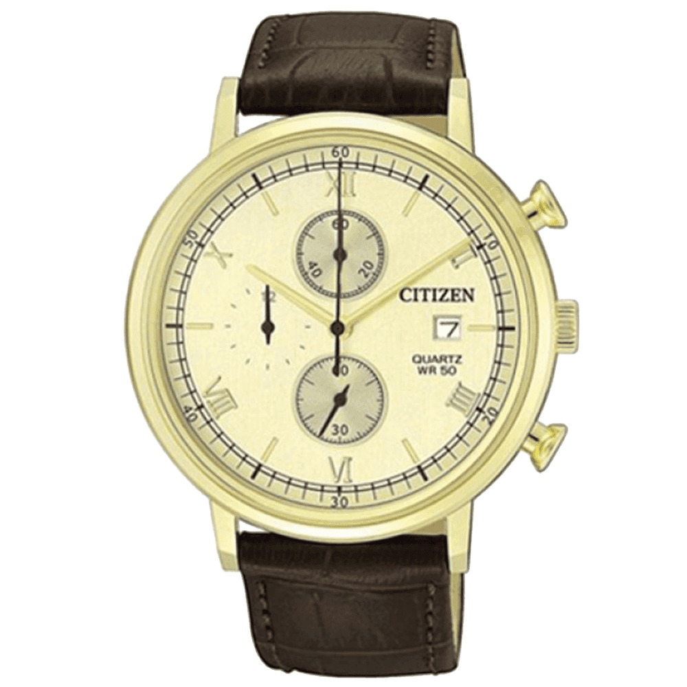 ĐỒNG HỒ CITIZEN AN3612-09P