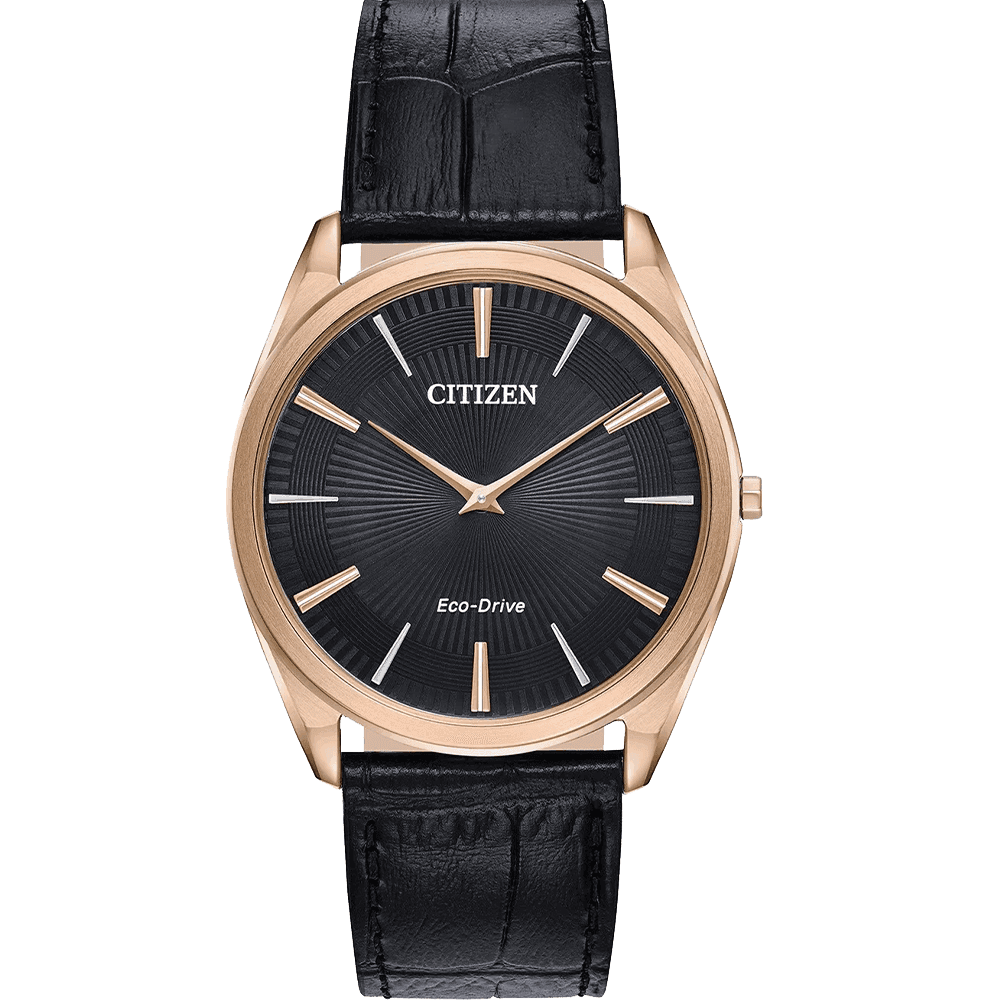 ĐỒNG HỒ CITIZEN AR3073-06E