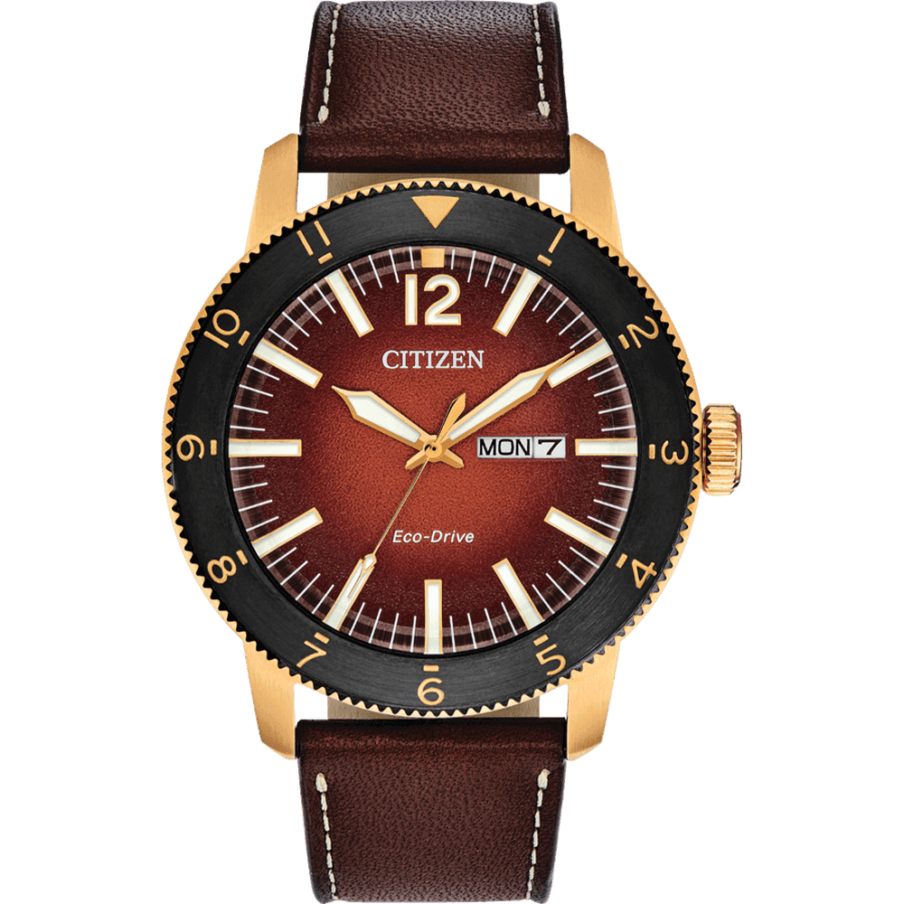 ĐỒNG HỒ CITIZEN AW0076-03X