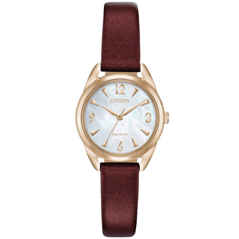 ĐỒNG HỒ CITIZEN EM0683-04D