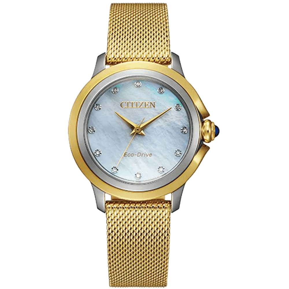 ĐỒNG HỒ CITIZEN EM0794-54D