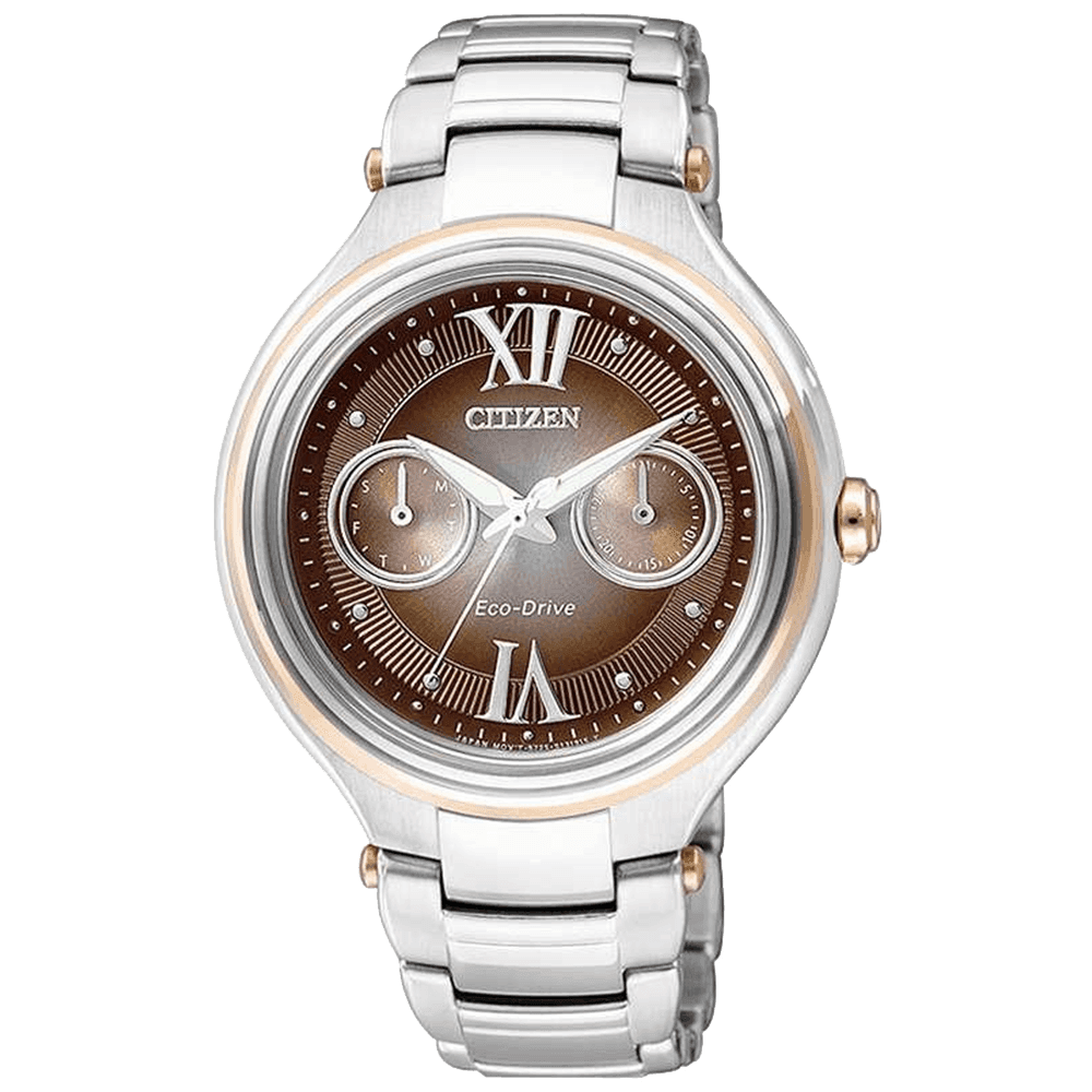 ĐỒNG HỒ CITIZEN FD4007-51W