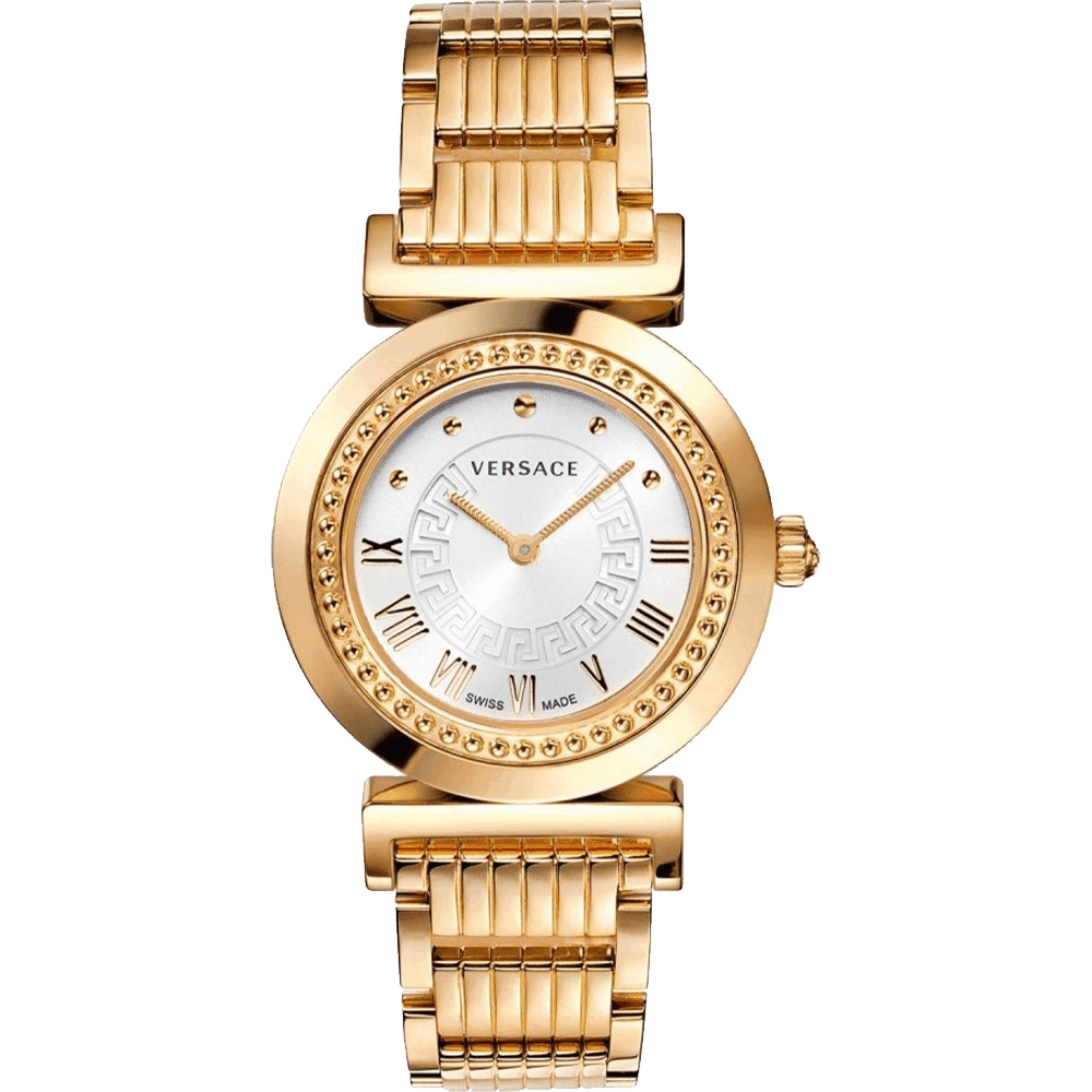 ĐỒNG HỒ VERSACE P5Q80D001 S080